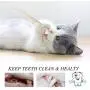 Pet Cat Fish Shape Toothbrush with Catnip Toys,New Interactive Tooth Cleaning Toy for Kitten Kitty,Multi-Function Food Grade Silicone Cat Molar Stick,Get Rid of Bad Breath & Keep Teeth Healthy Pet Cat Fish Shape Toothbrush with Catnip Toys,New Interactive Tooth Cleaning Toy for Kitten Kitty,Multi-Function Food Grade Silicone Cat Molar Stick,Get Rid of Bad Breath & Keep Teeth Healthy
