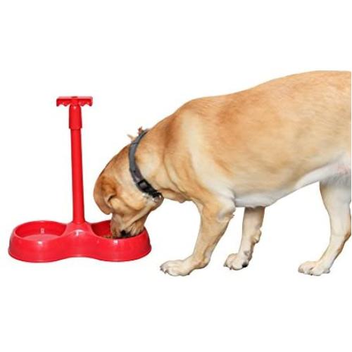 ARAD No More Bending Dual Pet Bowl – Perfect Food Station for Those with Limited Mobility - No More Bending or Kneeling When it’s Time to Feed Your Beloved Furry Best Friend (Red) by