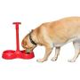 ARAD No More Bending Dual Pet Bowl – Perfect Food Station for Those with Limited Mobility - No More Bending or Kneeling When it’s Time to Feed Your Beloved Furry Best Friend (Red) by