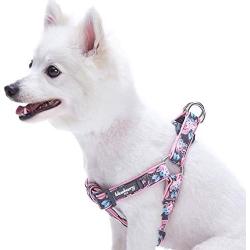 Blueberry Pet 7 Patterns Soft & Comfy Flower Print Neoprene Padded Dog Harnesses