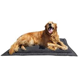 Lightspeed Outdoors Self Inflating Fleece Top Cover Travel Dog Bed | Kennel Bed ,32-Inch by 42 Inch