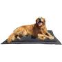 Lightspeed Outdoors Self Inflating Fleece Top Cover Travel Dog Bed | Kennel Bed ,32-Inch by 42 Inch