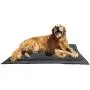 Lightspeed Outdoors Self Inflating Fleece Top Cover Travel Dog Bed | Kennel Bed ,32-Inch by 42 Inch Lightspeed Outdoors Self Inflating Fleece Top Cover Travel Dog Bed | Kennel Bed ,32-Inch by 42 Inch
