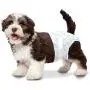 Wee-Wee Disposable Dog Diapers, 36 Count X-Small
