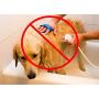 Wondurdog Quality Dog Wash Kit for Shower with Splash Guard Handle and Rubber Grooming Teeth. Indoor and Indoor/Outdoor Versions Available. Wash Your Pet. Don’t Get Wet!