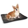 DayDayFun Industrial Pet Mat for Crate Aged and Closed Door with a Lock Close Up View in Retro Style Entrance Photo Comfortable Soft Pet Cushion Green Brown