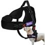 PetLove (Upgraded Version) Dog Harness, Soft Leash Padded No Pull Dog Harness with All Kinds of Size