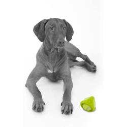 PetProjekt Tennisball Toy Balls for Pets