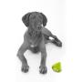 PetProjekt Tennisball Toy Balls for Pets