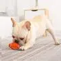 Football Dog Chew Toy, Squeaky Soft Latex Floating Bouncing Ball Pet Dog Toy for Small Medium Large Dog Interactive Toy