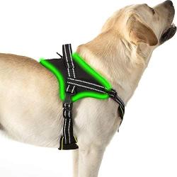 Golener Dog Harness No Pull, Reflective Puppy Harness with Led Light, Adjustable Dog Vest Harness, Soft Breathable Oxford Stylish Pet Harnesses with Easy Control Handle for Small/Medium/Large Dogs