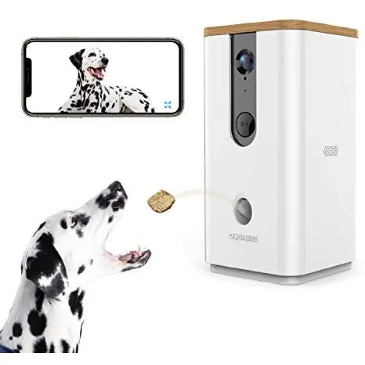 dog home video monitor