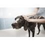 Mighty Mutt Natural & Hypoallergenic Dog Shampoo and Conditioner, Anti-itch, Soothing and Deodorizing (9oz)