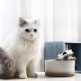 Ceramic Cat Drinking Water Fountain, Pet Water Fountains for Cats And Dogs, Electric Pet Water Dispenser with Quiet Pump