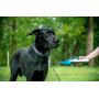 Portable Stainless Steel Dog Water Bottle with Collapsible Bowl, Outdoor Walking/Hiking/Travel, Lightweight Dispenser