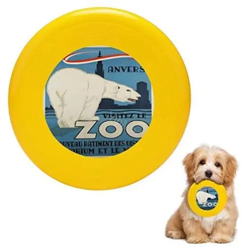 Pet Frisbee Flying Disc Dog Toy - Multifunction Anvers_Zoo_Polar_Bear_Large_1024x1024 Pet Frisbee Flying Disc Dog Toy - Multifunction Anvers_Zoo_Polar_Bear_Large_1024x1024