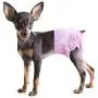 Pet Soft Doggy Diapers Female - Disposable Dog Diapers for Girl Puppies, Medium Cats Diapers with Adjustable Tail Hole Cute Pink 36pcs (M, Pink) Pet Soft Doggy Diapers Female - Disposable Dog Diapers for Girl Puppies, Medium Cats Diapers with Adjustable Tail Hole Cute Pink 36pcs (M, Pink)
