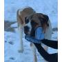 HugeHounds DroolRag Dog Drool Rag Towel