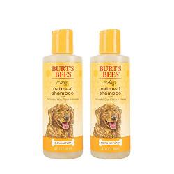 Burts Bees for Pets for Dogs Natural Oatmeal Shampoo with Colloidal Oat Flour and Honey| Oatmeal Dog Shampoo, 4 Ounces - 2 Pack