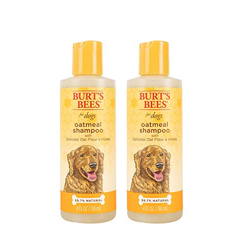 Burts Bees for Pets for Dogs Natural Oatmeal Shampoo with Colloidal Oat Flour and Honey| Oatmeal Dog Shampoo, 4 Ounces - 2 Pack