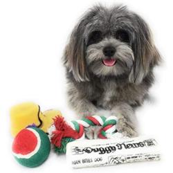 Christmas Stocking for Dogs. Pack of Squeaky newspaper toy, squeaky boot toy, a red, green and white tennis ball and a red, white and green cotton knotted rope.