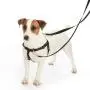 Freedom No-Pull Harness ONLY Freedom No-Pull Harness ONLY