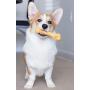 Pet Qwerks Zombie NYLON BarkBone - Chew Toy for Aggressive Chewers, Tough Durable Extreme Power Chewer Bone | Made in USA -  Available in 2 Flavors and 4 Sizes