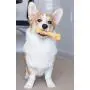 Pet Qwerks Zombie NYLON BarkBone - Chew Toy for Aggressive Chewers, Tough Durable Extreme Power Chewer Bone | Made in USA - Available in 2 Flavors and 4 Sizes Pet Qwerks Zombie NYLON BarkBone - Chew Toy for Aggressive Chewers, Tough Durable Extreme Power Chewer Bone | Made in USA - Available in 2 Flavors and 4 Sizes