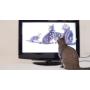 Movies for Cats - The Audio-visual Cat Toy - Catsitter - Vol.1 : Animals That Cats Love - DVD Video - The Fascinating New Tv Experience for You and Your Cat - The Gift 2016: Birthday or Easter Gifts for Cats / Gifts for Cat Friends, Cat Lovers and Cat Fan