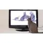 Movies for Cats - The Audio-visual Cat Toy - Catsitter - Vol.1 : Animals That Cats Love - DVD Video - The Fascinating New Tv Experience for You and Your Cat - The Gift 2016: Birthday or Easter Gifts for Cats / Gifts for Cat Friends, Cat Lovers and Cat Fan Movies for Cats - The Audio-visual Cat Toy - Catsitter - Vol.1 : Animals That Cats Love - DVD Video - The Fascinating New Tv Experience for You and Your Cat - The Gift 2016: Birthday or Easter Gifts for Cats / Gifts for Cat Friends, Cat Lovers and Cat Fan