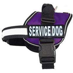 Doggie Stylz Dog Harness No Pull Service Dog Vest 2 Reflective Removable Dog Tag Patches Hook and Loop Straps and Handle for Comfort - 6 Sizes from XXS for Small Dogs to XXL Harness for Large Dogs