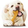 Nylabone Power Chew Curvy Dental Chew Toy for Dogs Peanut Butter Flavor Giant - Up to 50 lbs.