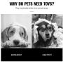 PEDOMUS Light Up Squeak Dog Ball Balls Flash LED Squeaker Ball Dog Toy Interactive Ball for Dogs Bounce-Activated