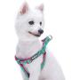 Blueberry Pet Essentials 2 Patterns Zoo Fun Dog Harnesses