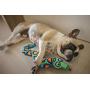 Bamboo Fat Cat Incredible Strapping Yankers Dog Toy