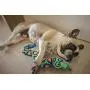 Bamboo Fat Cat Incredible Strapping Yankers Dog Toy Bamboo Fat Cat Incredible Strapping Yankers Dog Toy