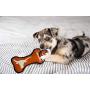 Pets First NCAA Texas Longhorns College Dental Tough Dog TUG Bone Toy with Built-in Squeaker Attached to a Safe Rubber Teething Toothbrush PET Toy