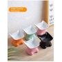 Ragdollcat Tilted Cat Food Bowl, Ceramic Cat Bowls Stress Free, Backflow Prevention, Dishwasher and Microwave Safe