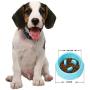 Lorpect Dog Bowl Slow Feeder, Interactive Bloat Stop Pet Bowl for Fast Eaters, Non-Slip Anti Choke Healthy Diet Bowls