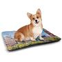 Nomorer Dog Mat European Personalized Pet Placemat Aerial Paris Eiffel Tower French Heritage Culture Architecture Image Light Blue Cream Green