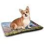 Nomorer Dog Mat European Personalized Pet Placemat Aerial Paris Eiffel Tower French Heritage Culture Architecture Image Light Blue Cream Green Nomorer Dog Mat European Personalized Pet Placemat Aerial Paris Eiffel Tower French Heritage Culture Architecture Image Light Blue Cream Green