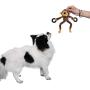 Z.T MENG Dog Plush Toys Interactive Dogs Squeaky Toys, Cute Plush Stuffed Monkey, Bear, Cow Pet Toys, Chewing and Durable Toys for Puppy Dogs and Medium Dogs.(3 Pack).