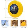 Pet Frisbee Flying Disc Dog Toy - Multifunction Worlds Without End Greg Olsen