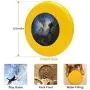Pet Frisbee Flying Disc Dog Toy - Multifunction Worlds Without End Greg Olsen Pet Frisbee Flying Disc Dog Toy - Multifunction Worlds Without End Greg Olsen