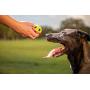 Nerf Dog 2.5in LED Bash Ball, Red/Green Dog Toy