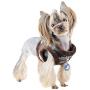 Corporal Dog Harness by Puppia - Camo