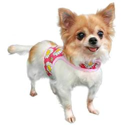 Pooch Outfitters Dog Harness Collection | Dog Walking with Style – Extensive Selection of Unique, Fashionable Harnesses That Suit Any Taste, Mood, Occasion