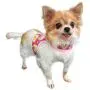Pooch Outfitters Dog Harness Collection | Dog Walking with Style – Extensive Selection of Unique, Fashionable Harnesses That Suit Any Taste, Mood, Occasion Pooch Outfitters Dog Harness Collection | Dog Walking with Style – Extensive Selection of Unique, Fashionable Harnesses That Suit Any Taste, Mood, Occasion