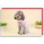 NACOCO Dog Flower Harness Waking Vest Harness with Pet Leash for Halloween Cat Puppy Girl (M)