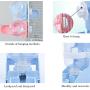 SEIS Multifunction Rabbit Water Dispenser 500ML Dog Water Bottle Hanging Cage Small Pet Foods Bowl Pet Automatic Bottle for Cats Dogs Guinea Pig Squirrel Hedgehog